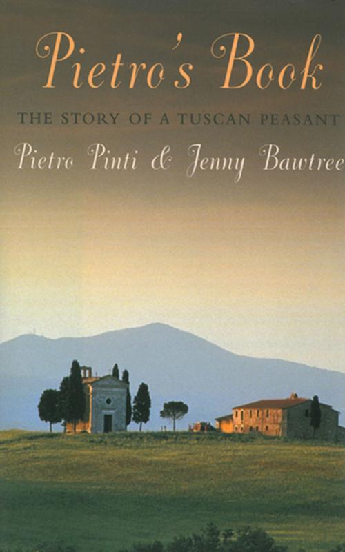 Cover of the book Pietro's Book by Pietro Pinti, Jenny Bawtree, Skyhorse Publishing