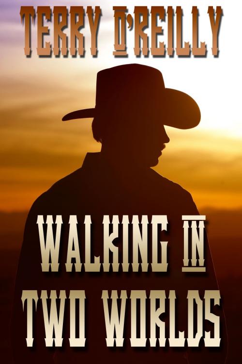 Cover of the book Walking in Two Worlds by Terry O'Reilly, JMS Books LLC