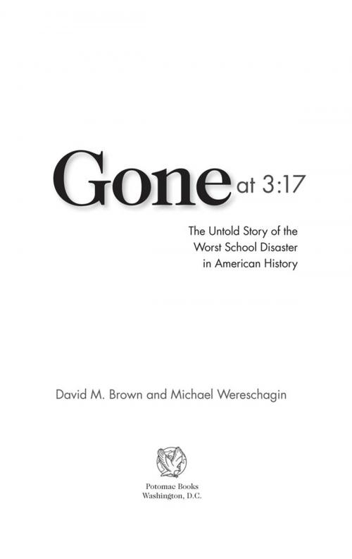 Cover of the book Gone at 3:17 by David M. Brown; Michael Wereschagin, Potomac Books Inc.