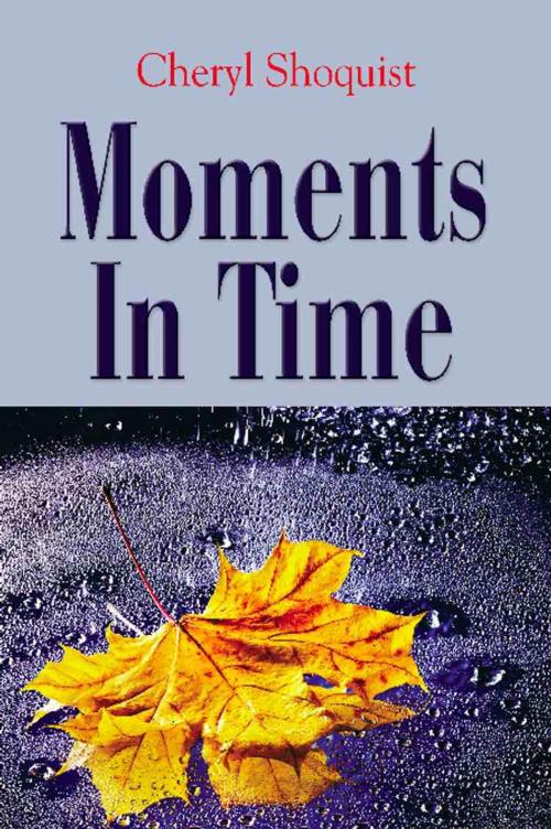 Cover of the book Moments In Time by Cheryl Shoquist, BookLocker.com, Inc.
