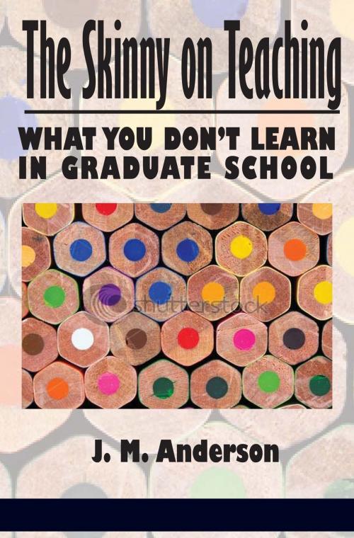 Cover of the book The Skinny on Teaching by J. M. Anderson, Ph.D., Information Age Publishing