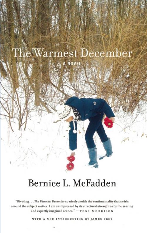 Cover of the book The Warmest December by Bernice L. McFadden, Akashic Books