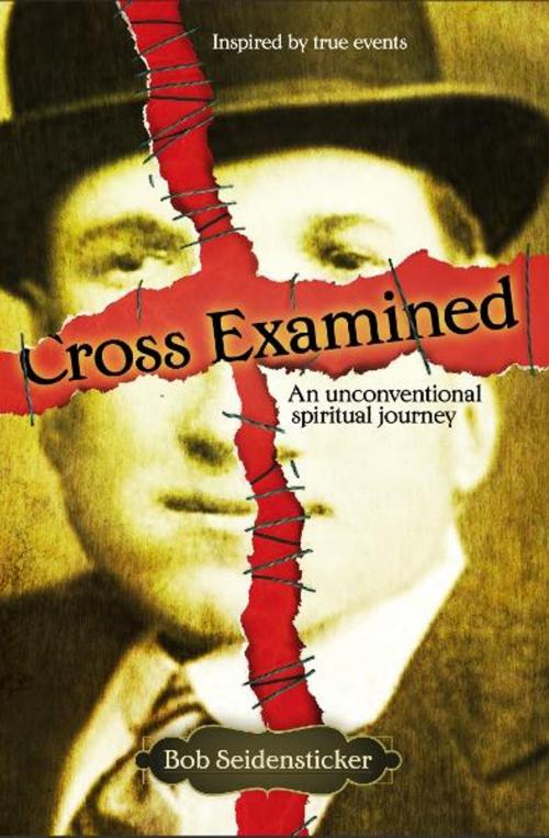 Cover of the book Cross Examined by Bob Seidensticker, BookBaby