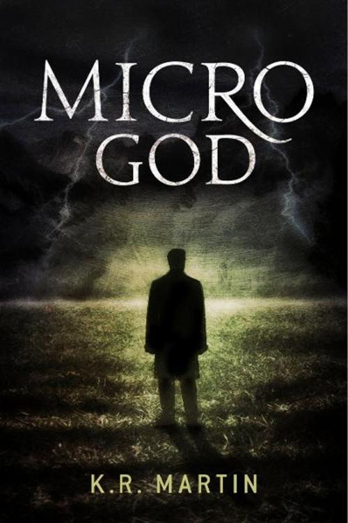 Cover of the book Micro God by K.R. Martin, BookBaby