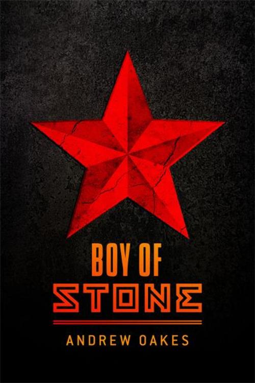 Cover of the book Boy of Stone by Andrew Oakes, BookBaby