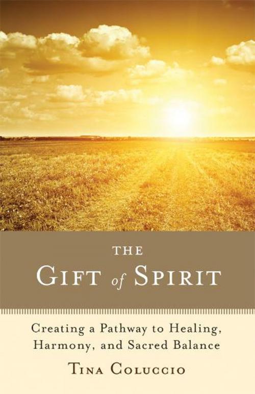 Cover of the book The Gift of Spirit: Creating a Pathway to Healing, Harmony, and Sacred Balance by Tina Coluccio, Red Wheel Weiser