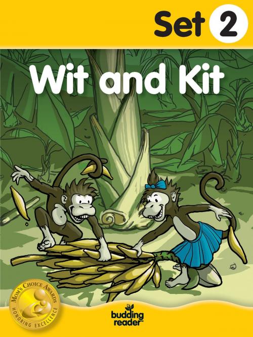 Cover of the book Budding Reader Book Set 2: Wit and Kit by Melinda Thompson, Melissa Ferrell, Cecilia Minden, Bill Madrid, Budding Reader