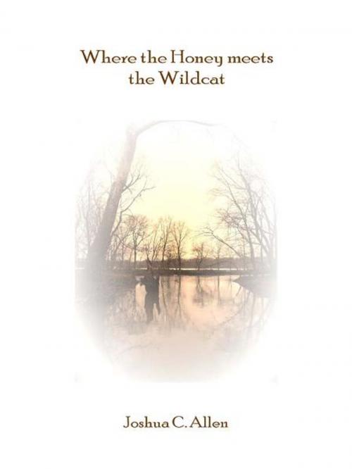 Cover of the book Where the Honey Meets the Wildcat by Joshua C. Allen, BookBaby