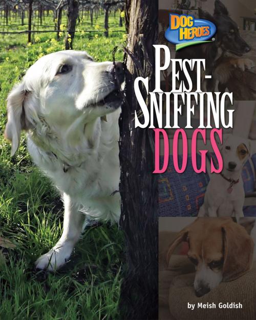 Cover of the book Pest-Sniffing Dogs by Meish Goldish, Bearport Publishing