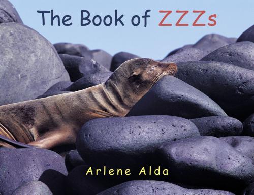 Cover of the book The Book of ZZZs by Arlene Alda, Tundra