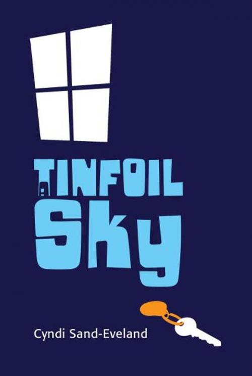 Cover of the book A Tinfoil Sky by Cyndi Sand-Eveland, Tundra