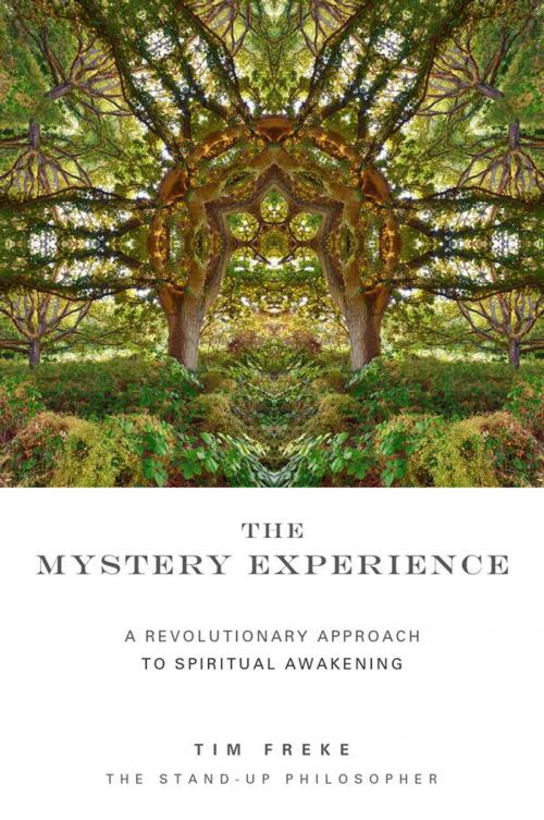 Cover of the book The Mystery Experience by Tim Freke, Watkins Media