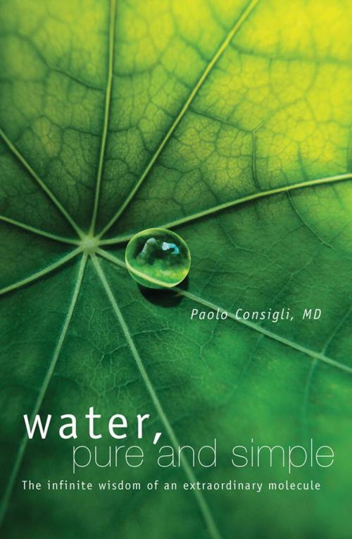 Cover of the book Water, Pure and Simple by Dr. Paolo Consigli, Watkins Media