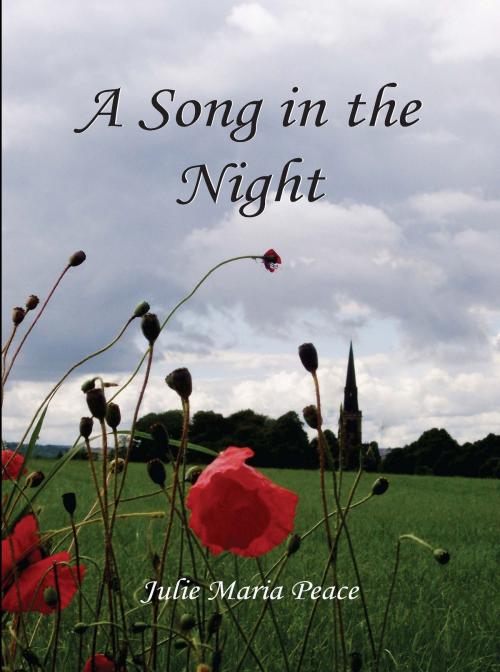 Cover of the book A Song in the Night by Julie Maria Peace, Grosvenor House Publishing