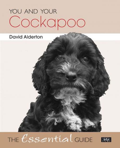 Cover of the book You and Your Cockapoo by David Alderton, Veloce Publishing Ltd
