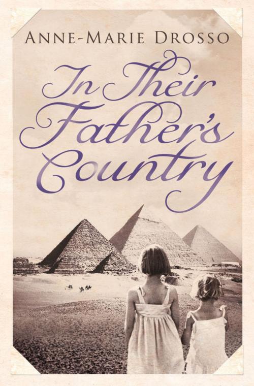 Cover of the book In Their Father's Country by Anne-Marie Drosso, Saqi