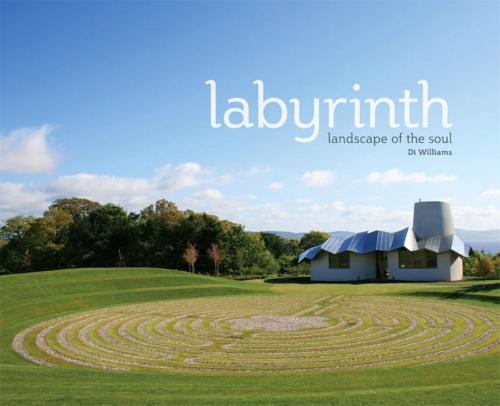 Cover of the book Labyrinth by Di Williams, Wild Goose Publications