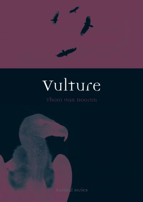 Cover of the book Vulture by Thom van Dooren, Reaktion Books