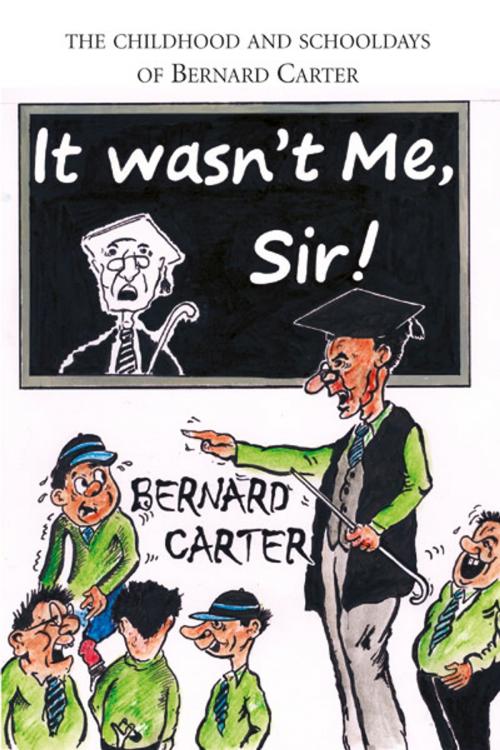 Cover of the book It Wasn't Me, Sir! by Bernard Carter, JMD Media