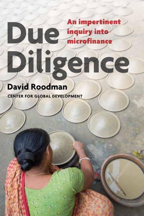Cover of the book Due Diligence by David Roodman, Brookings Institution Press
