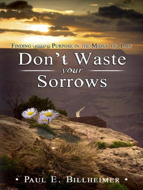 Cover of the book Don't Waste Your Sorrows by Paul E. Billheimer, CLC Publications