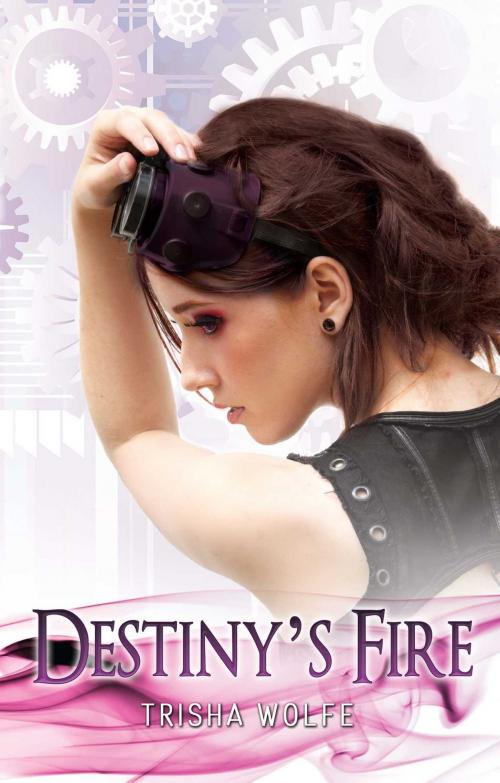 Cover of the book Destiny's Fire by Trisha Wolfe, Omnific Publishing