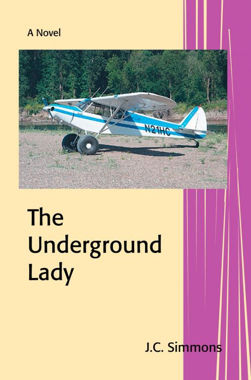 Cover of the book The Underground Lady by JC Simmons, JC Simmons