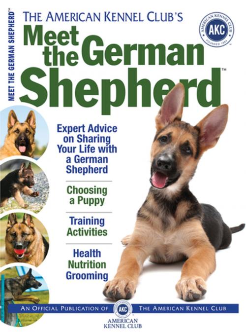 Cover of the book Meet the German Shepherd by Dog Fancy Magazine, CompanionHouse Books