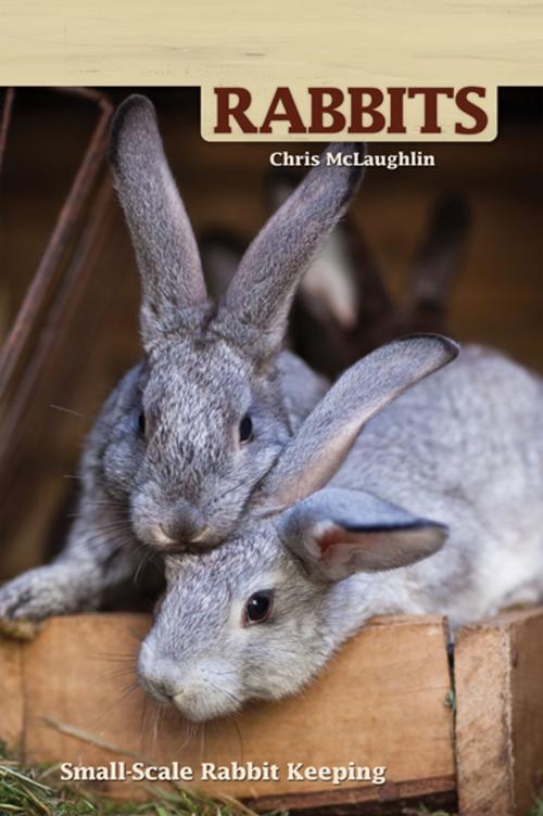 Cover of the book Hobby Farms: Rabbits by Chris McLaughlin, CompanionHouse Books