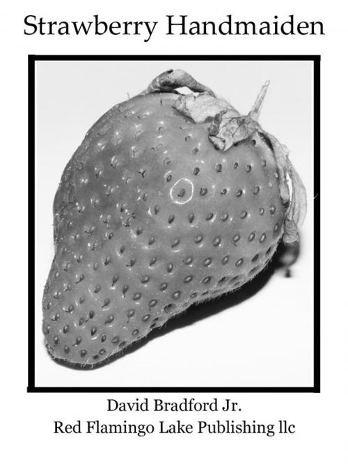 Cover of the book Strawberry Handmaiden by David Bradford Jr., Red Flamingo Lake Publishing llc