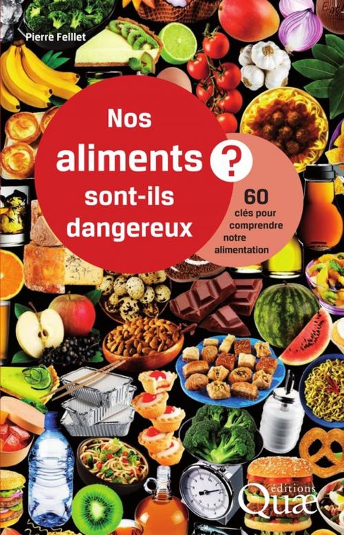 Cover of the book Nos aliments sont-ils dangereux ? by Pierre Feillet, Quae