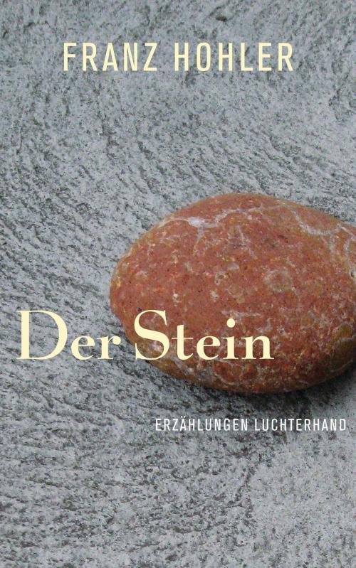 Cover of the book Der Stein by Franz Hohler, Luchterhand Literaturverlag