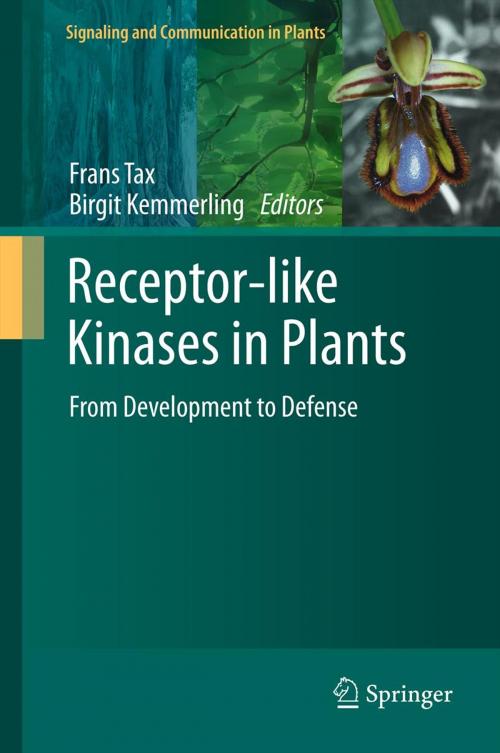 Cover of the book Receptor-like Kinases in Plants by , Springer Berlin Heidelberg