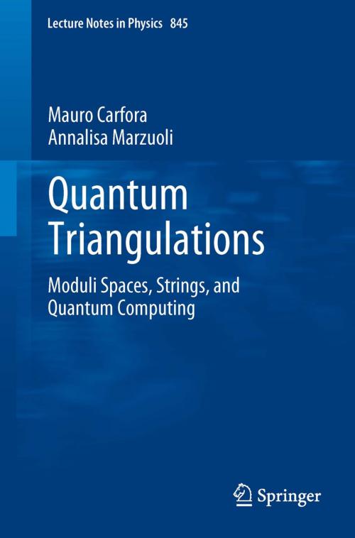 Cover of the book Quantum Triangulations by Mauro Carfora, Annalisa Marzuoli, Springer Berlin Heidelberg