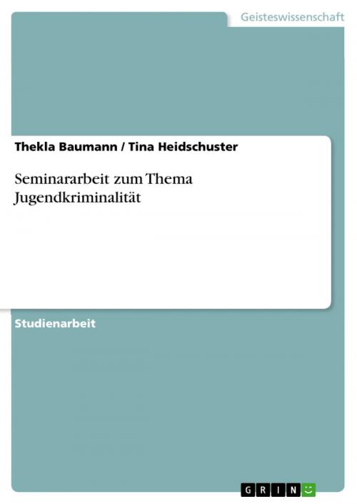 Cover of the book Seminararbeit zum Thema Jugendkriminalität by Thekla Baumann, Tina Heidschuster, GRIN Verlag