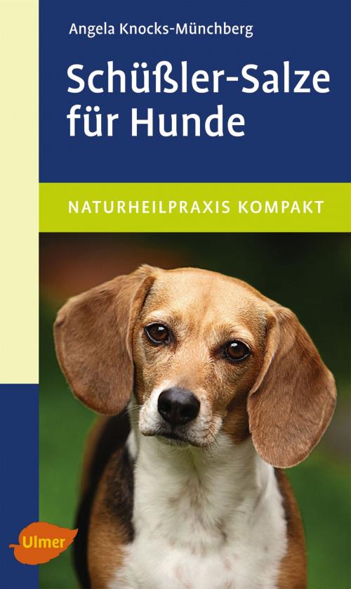 Cover of the book Schüßler-Salze für Hunde by Angela Knocks-Münchberg, Verlag Eugen Ulmer