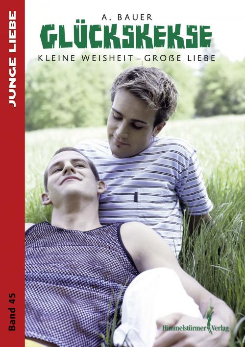 Cover of the book Glückskekse by A. Bauer, Himmelstürmer Verlag