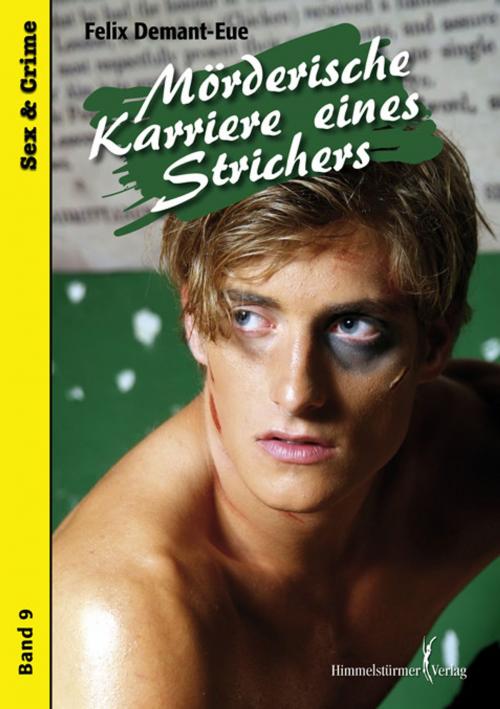 Cover of the book Mörderische Karriere eines Strichers by Felix Demant-Eue, Himmelstürmer Verlag