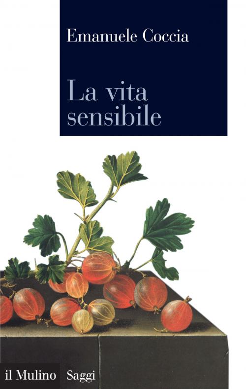 Cover of the book La vita sensibile by Emanuele, Coccia, Società editrice il Mulino, Spa