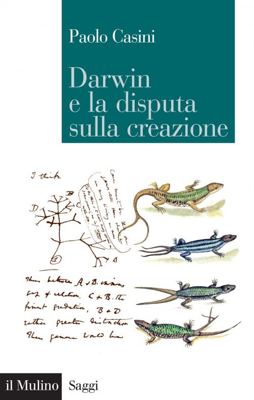 Cover of the book Darwin e la disputa sulla creazione by Paolo, Casini, Società editrice il Mulino, Spa