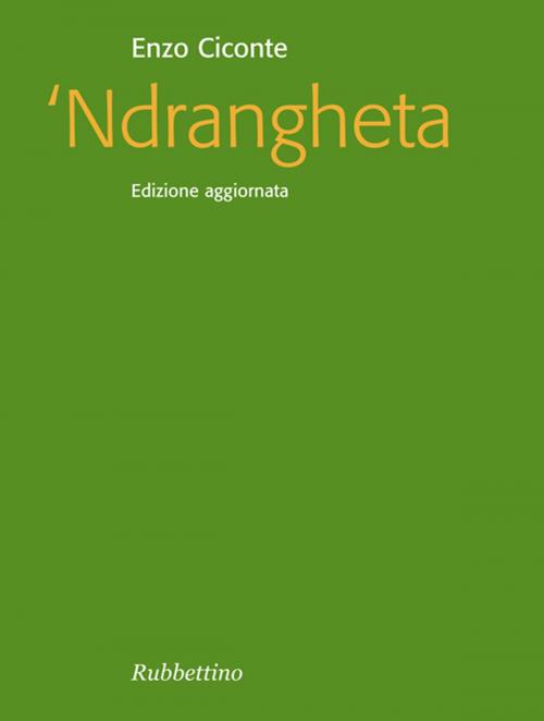 Cover of the book Ndrangheta by Enzo Ciconte, Rubbettino Editore