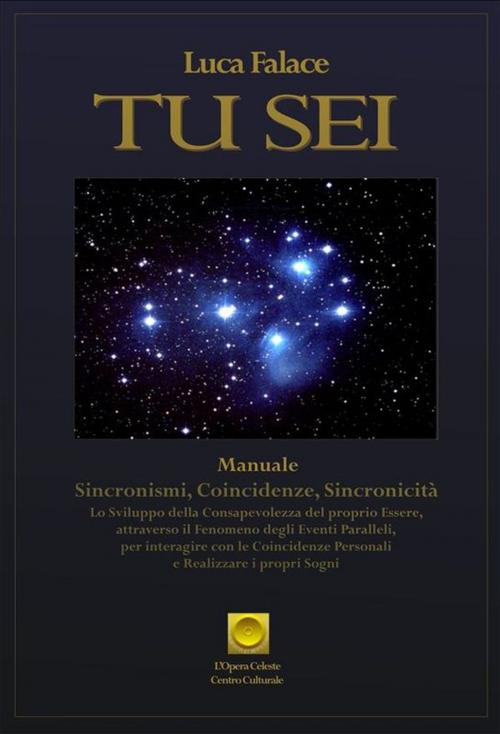 Cover of the book Tu Sei by Luca Falace, Youcanprint