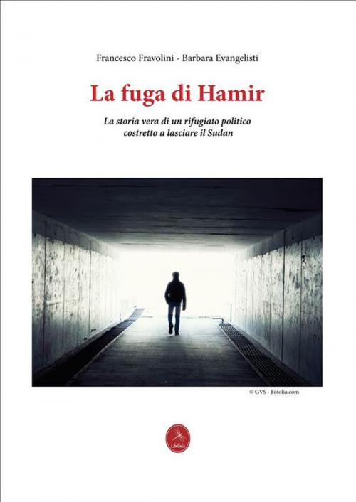 Cover of the book La Fuga di Hamir by Francesco Fravolini, Francesco Fravolini e Barbara Evangelisti, Libellula Edizioni