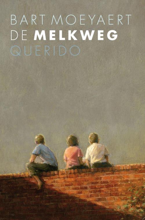 Cover of the book De melkweg by Bart Moeyaert, Singel Uitgeverijen