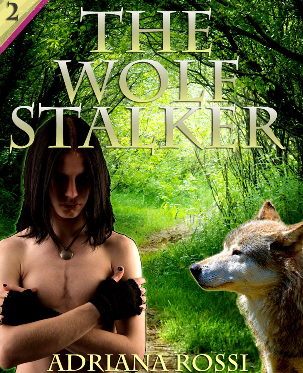 Big bigCover of The Wolf Stalker