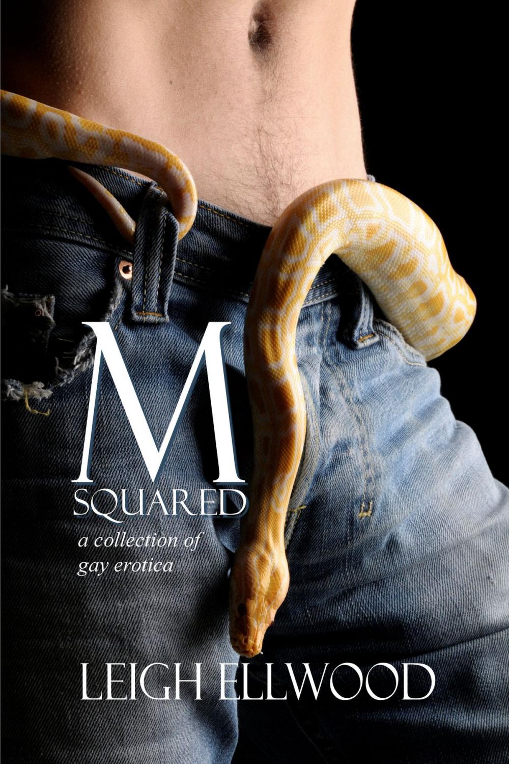 Big bigCover of M-Squared: a Collection of Gay Erotica