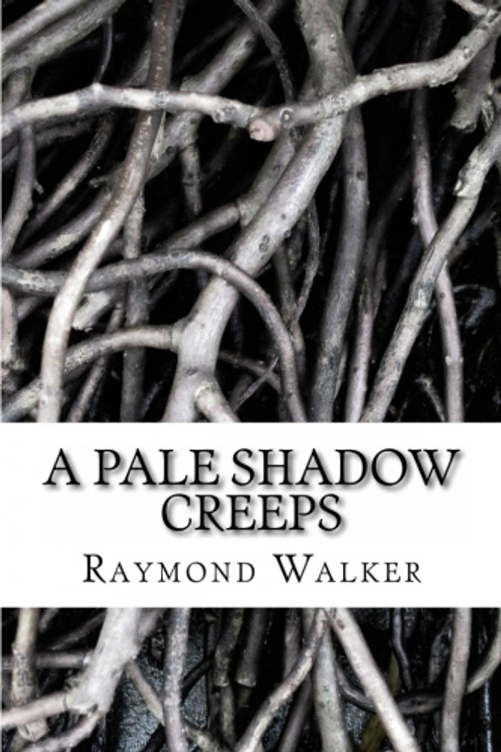 Big bigCover of A Pale Shadow Creeps