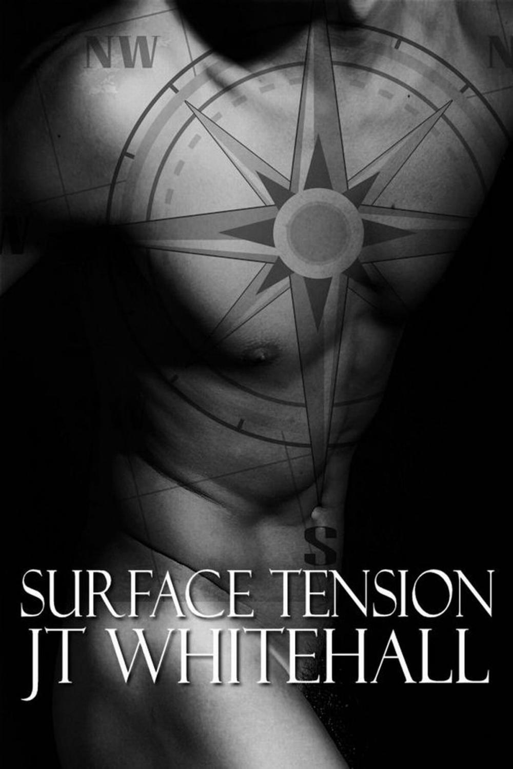Big bigCover of Surface Tension