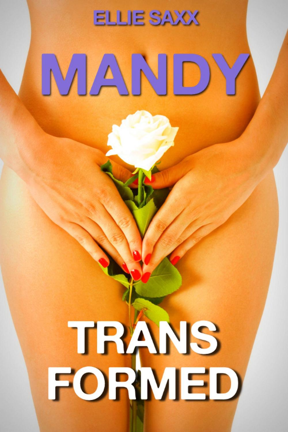 Big bigCover of Mandy Transformed