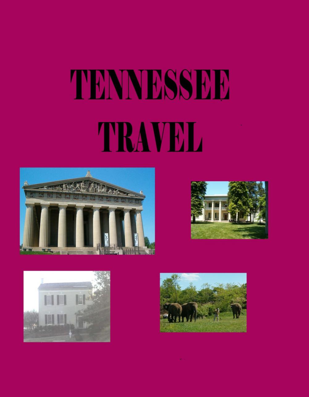 Big bigCover of Tennessee Travel